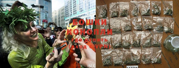 ПСИЛОЦИБИНОВЫЕ ГРИБЫ Заводоуковск