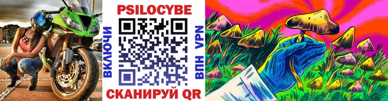где купить наркотик  Красный Холм  Псилоцибиновые грибы Psilocybe 